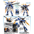 《GTS》模型 BANDAI MG 1/100 SEED 藍色異端鋼彈D型 MBF-P03D 5063047_9