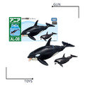《GTS》純日貨 TAKARA TOMY 多美動物 AL-08 虎鯨 (飄浮版) 137634