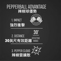 《GTS》PepperBall Compact 筆型鎮暴槍 筆型辣椒彈 003299_3