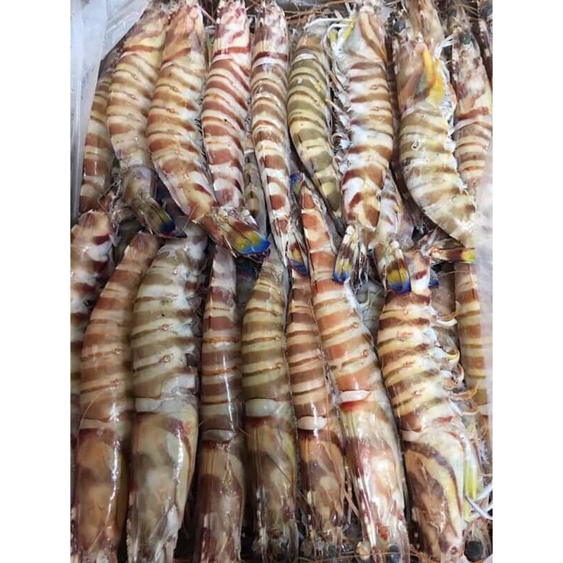 大蝦| QDM x Livebuy 