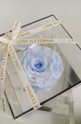 Only You 永生花-天藍