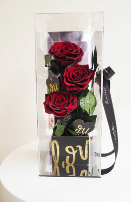 Carry Love 永生花-紅