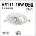 AR111-RA98 15CM15W崁燈