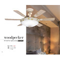 PDC-啄木鳥吊扇_54