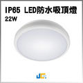 星庭 22W IP65防水吸頂燈
