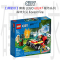 【磚星球】樂高 LEGO 60247 城市系列 森林火災 Forest Fire