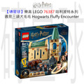 【磚星球】樂高 LEGO 76387 哈利波特系列 遇見三頭犬毛毛 Hogwarts™: Fluffy Encounter