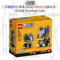 【磚星球】樂高 LEGO 40441 大頭系列 短毛貓 Shorthair Cats