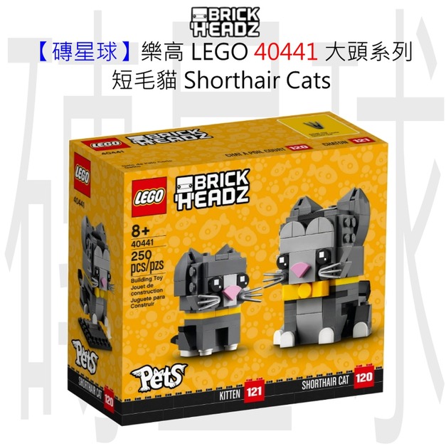 【磚星球】樂高 LEGO 40441 大頭系列 短毛貓 Shorthair Cats