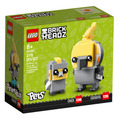 【磚星球】樂高 LEGO 40481 大頭系列 雞尾鸚鵡 Cockatiel_1