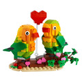 【磚星球】樂高 LEGO 40522 大頭系列 情人節愛情鸚鵡 Valentine Lovebirds_2