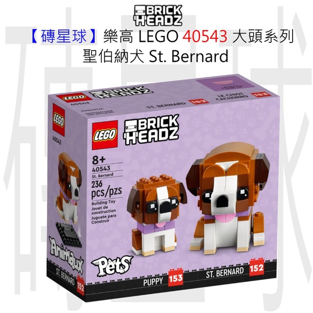 【磚星球】樂高 LEGO 40543 大頭系列 聖伯納犬 St. Bernard