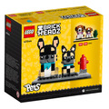 【磚星球】樂高 LEGO 40544 大頭系列 法國鬥牛犬 Pets - French Bulldog_3