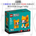 【磚星球】樂高 LEGO 40480 大頭系列 橘色虎斑貓 Ginger Tabby