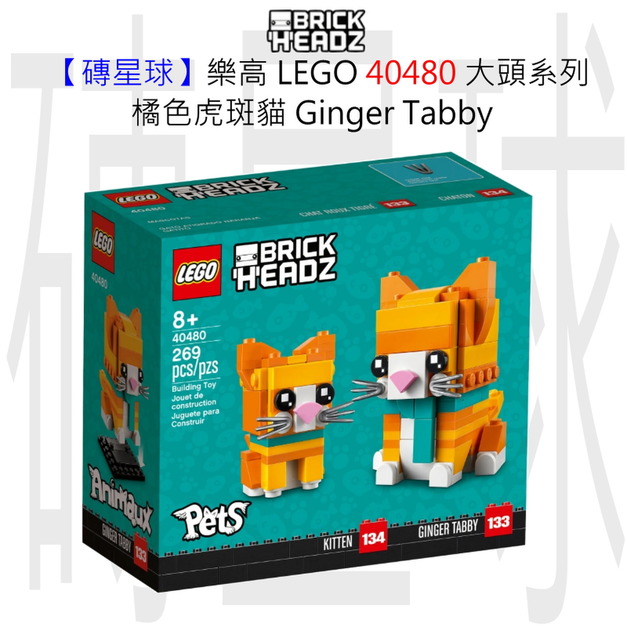 【磚星球】樂高 LEGO 40480 大頭系列 橘色虎斑貓 Ginger Tabby