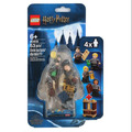 【磚星球】樂高 LEGO 40419 哈利波特系列 霍格華茲的學生 Hogwarts™ Students Acc. Set_1