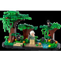 【磚星球】樂高 LEGO 40530 特殊 致敬黑猩猩之母 珍·古德 Jane Goodall Tribute_2