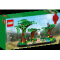 【磚星球】樂高 LEGO 40530 特殊 致敬黑猩猩之母 珍·古德 Jane Goodall Tribute_1