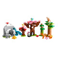 【磚星球】樂高 LEGO 10974 得寶系列 亞洲野生動物 Wild Animals of Asia_2