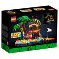 【磚星球】樂高 LEGO 40566 特殊系列 無人島求生記 Ray the Castaway_3