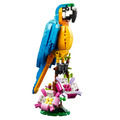 【磚星球】樂高 LEGO 31136 創意三合一系列 異國鸚鵡 Exotic Parrot_2