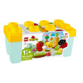 【磚星球】樂高 LEGO 10984 得寶系列 有機果菜園 Organic Garden_1