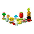 【磚星球】樂高 LEGO 10984 得寶系列 有機果菜園 Organic Garden_2