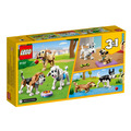 【磚星球】樂高 LEGO 31137 創意三合一系列 可愛狗狗 Adorable Dogs_5