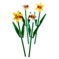 【磚星球】樂高 LEGO 40646H 特殊 水仙 Daffodils_2