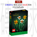 【磚星球】樂高 LEGO 40646H 特殊 水仙 Daffodils