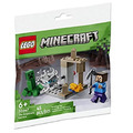 【磚星球】樂高 LEGO 30647 當個創世神 滴水石洞穴 Polybag The Stalactite Cave_2