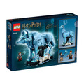 【磚星球】樂高 LEGO 76414 哈利波特系列 守護神咒 Expecto Patronum_3