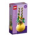 【磚星球】樂高 LEGO 40588 特殊盒組 優雅花盆 Flowerpot_1