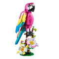 【磚星球】樂高 LEGO 31144 創意三合一系列 異國粉紅鸚鵡 Exotic Pink Parrot_2