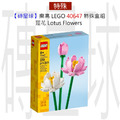 【磚星球】樂高 LEGO 40647 特殊盒組 蓮花 Lotus Flowers
