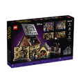 【磚星球】樂高 LEGO 21341 IDEAS 女巫也瘋狂_3