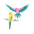 【磚星球】樂高 LEGO 31211 ART藝術 金剛鸚鵡 The Fauna Collection – Macaw Parrots_2