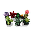 【磚星球】樂高 LEGO 10309 創意系列 多肉植物 Succulents_2
