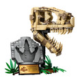 【磚星球】樂高 LEGO 76964 侏羅紀世界系列 恐龍化石 霸王龍頭骨 Dinosaur Fossils: T. rex Skull_2