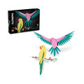 【磚星球】樂高 LEGO 31211 ART藝術 金剛鸚鵡 The Fauna Collection – Macaw Parrots_1