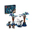 【磚星球】樂高 LEGO 76432 哈利波特 禁忌森林 Forbidden Forest™: Magical Creatures_1