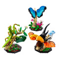 【磚星球】樂高 LEGO 21342 IDEAS 昆蟲集錦 Insects_2