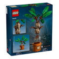 【磚星球】樂高 LEGO 76433 哈利波特 魔蘋果 Mandrake_3
