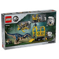 【磚星球】樂高 LEGO 76966 侏儸紀世界 異特龍運輸卡車 Dinosaur Missions: Allosaurus Transport Truck_3