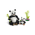 【磚星球】樂高 LEGO 31165 三合一系列 野生動物：熊貓家庭 Wild Animals: Panda Family_2