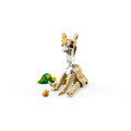 【磚星球】樂高 LEGO 31162 三合一系列 可愛兔子 Cute Bunny_3