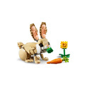 【磚星球】樂高 LEGO 31162 三合一系列 可愛兔子 Cute Bunny_2