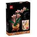 【磚星球】樂高 LEGO 10343 花藝系列 迷你蘭花 Mini Orchid_3
