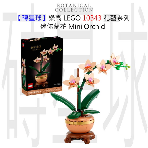 【磚星球】樂高 LEGO 10343 花藝系列 迷你蘭花 Mini Orchid