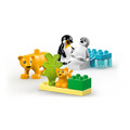 【磚星球】樂高 LEGO 10442 得寶系列 野生動物家庭：企鵝和獅子 Wild Animal Families: Penguins & Lions_2